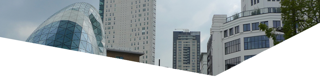 regio-header-brabant nieuw.png